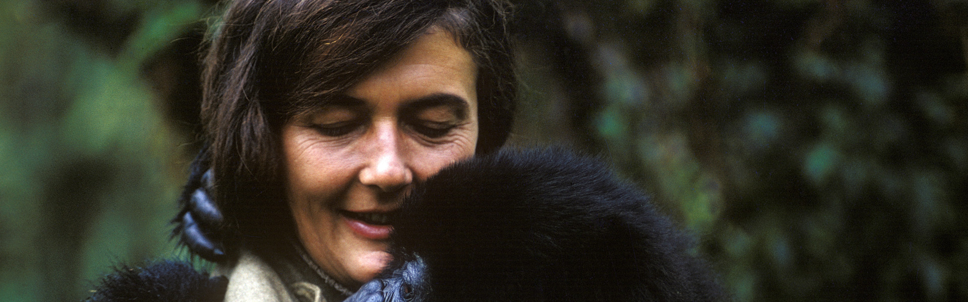 Dian Fossey: Secrets in the Mist