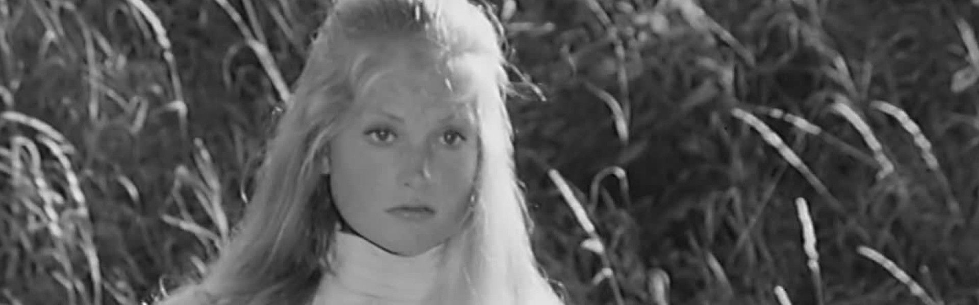 Les Cent Livres des Hommes