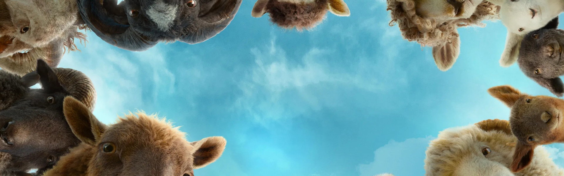The Sheep Detectives