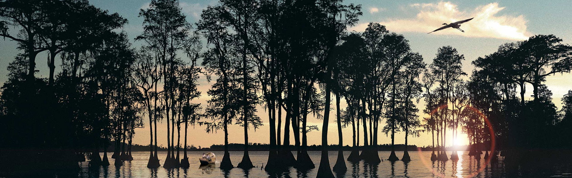 Hurricane on the Bayou