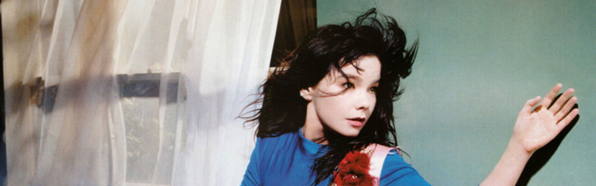 Inside Björk