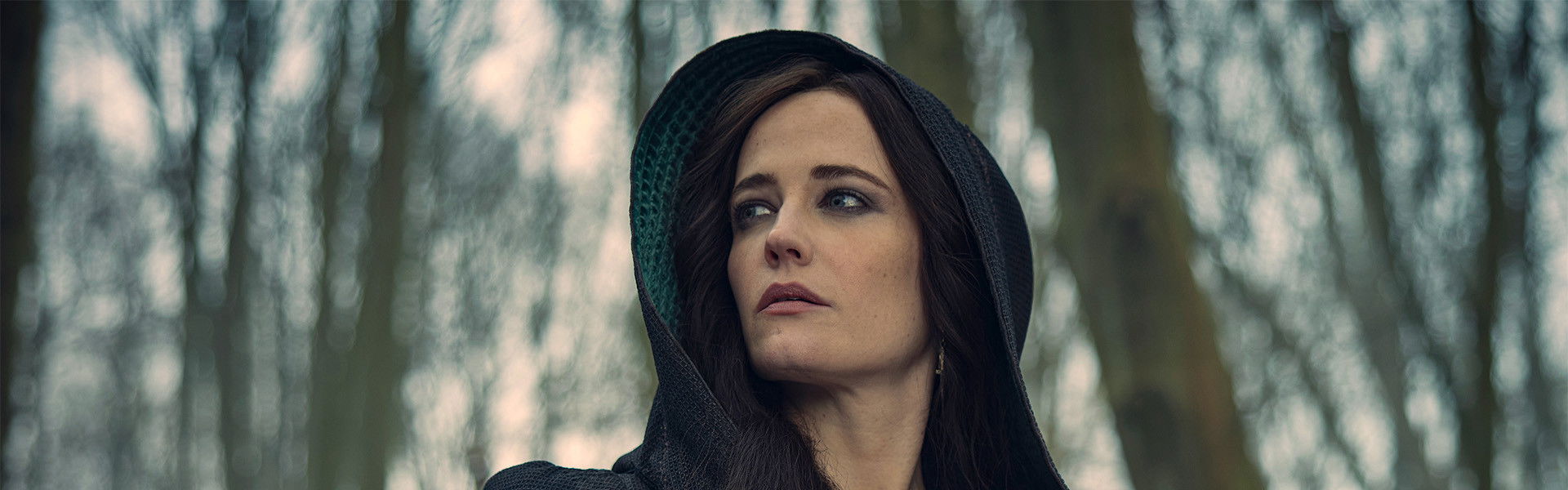 The Three Musketeers: Milady