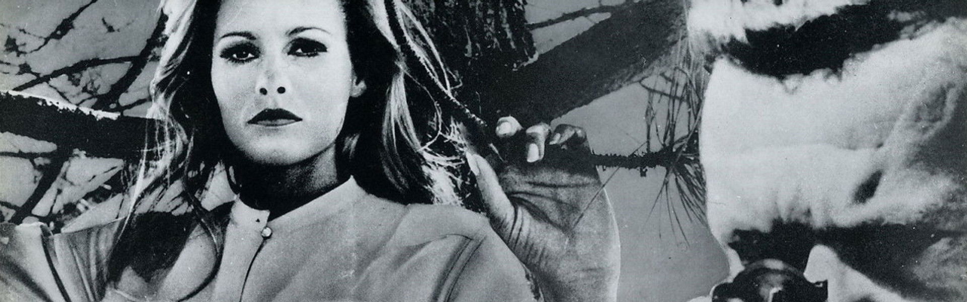 Nightmare in the Sun