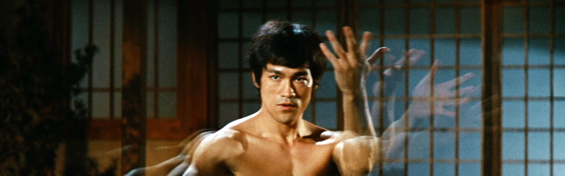 Fist of Fury