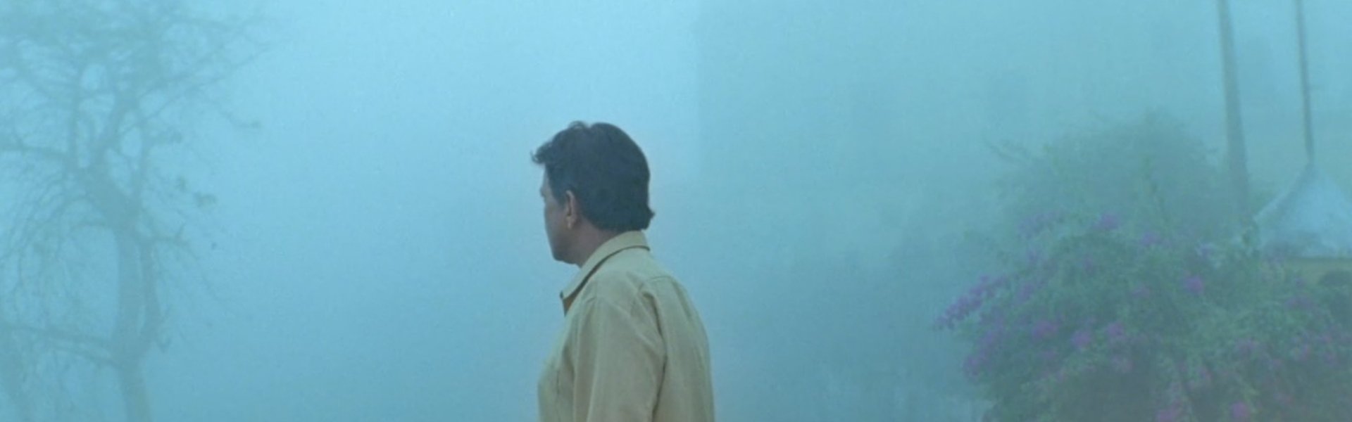 Memories in the Mist