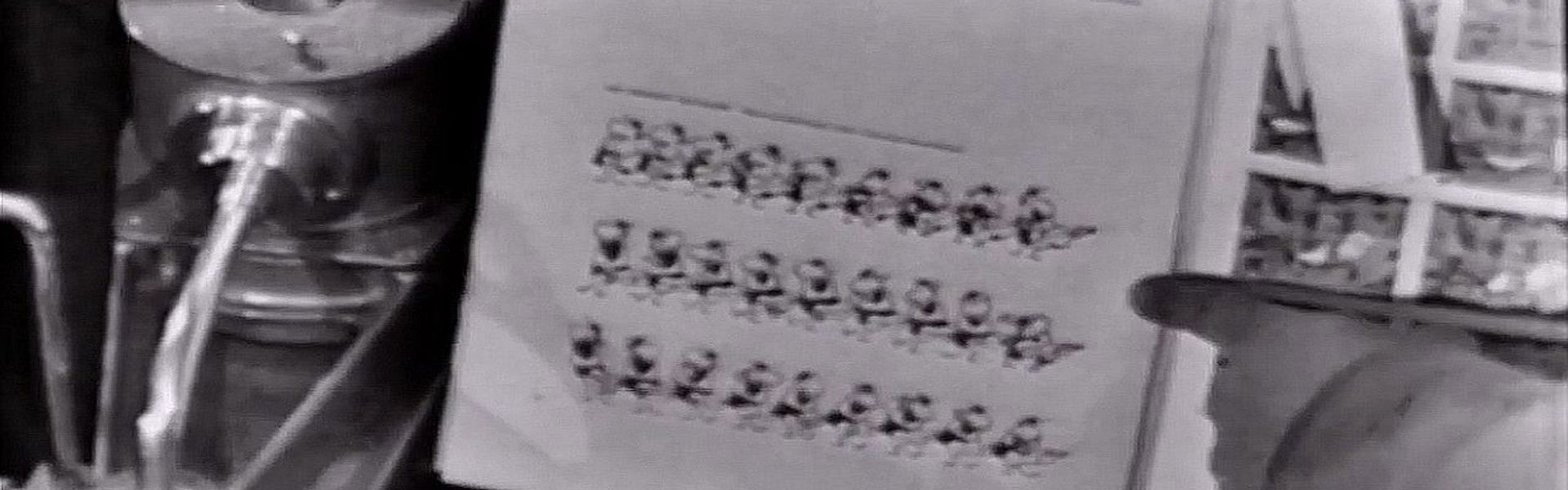 The Animograph, or I Was Born in a Shoebox