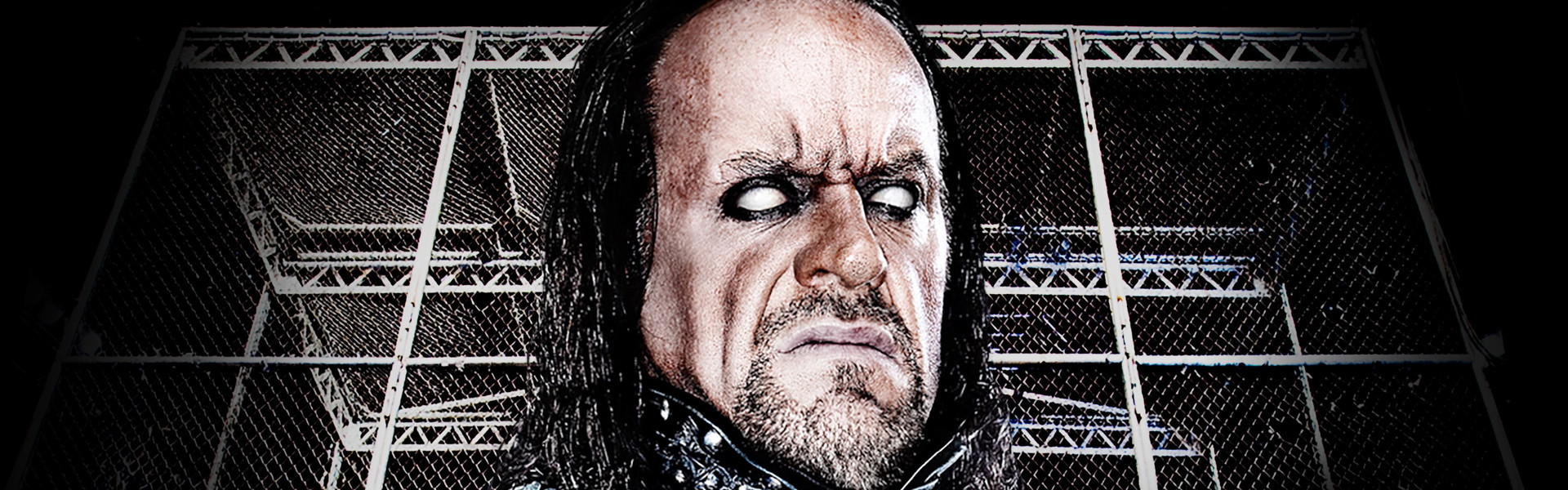 WWE Hell In A Cell 2010