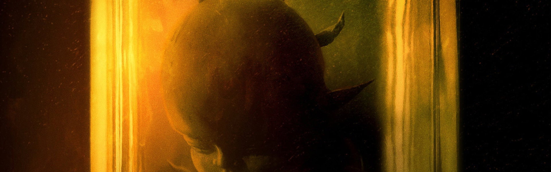 The Unborn