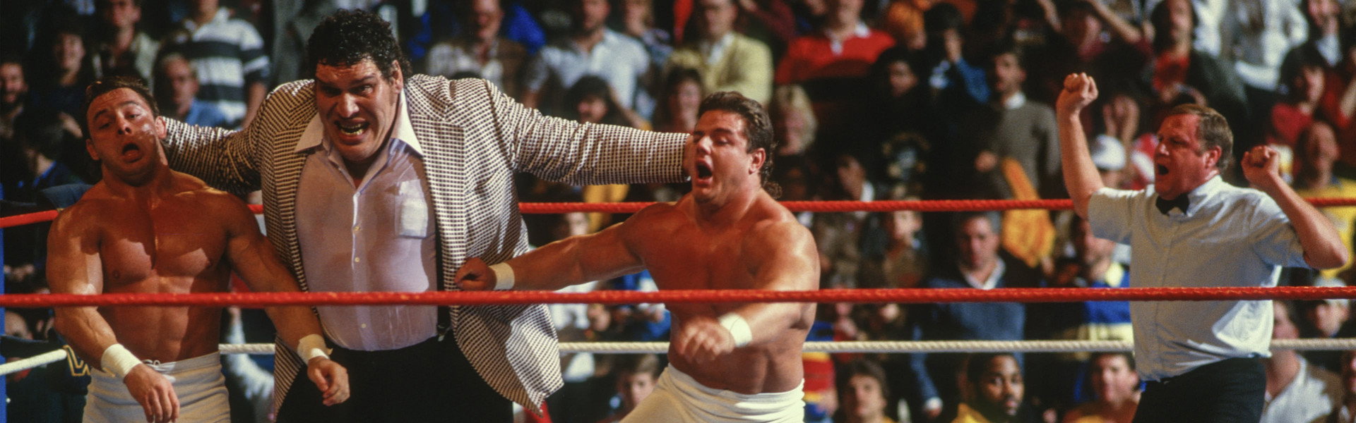 Saturday Night's Main Event