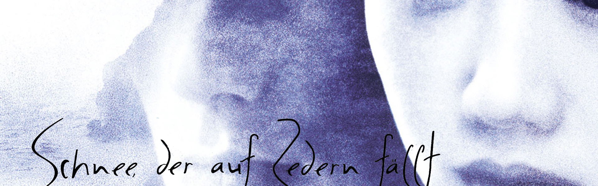 Snow Falling on Cedars