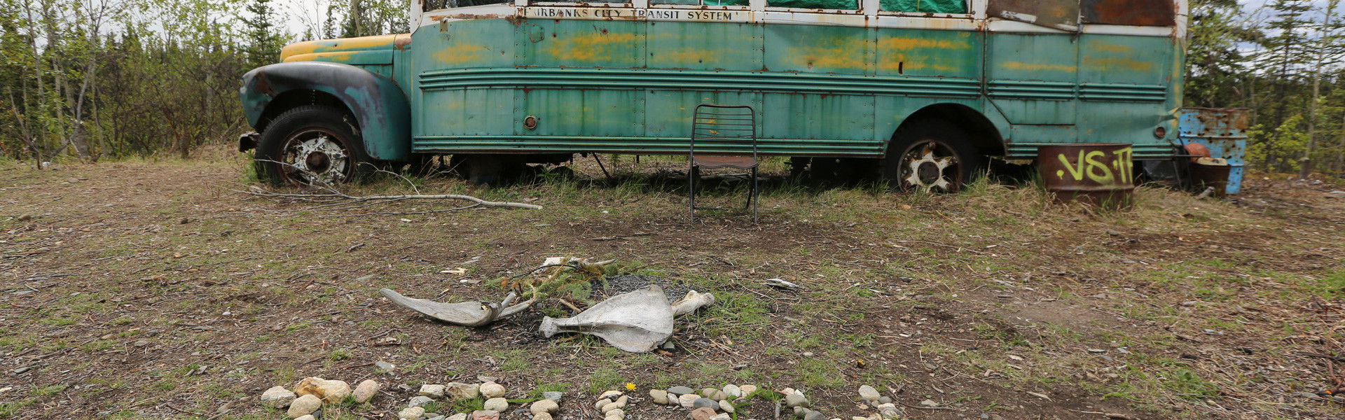 Return to the Wild: The Chris McCandless Story