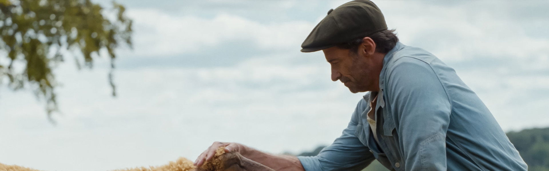 The Sheep Detectives