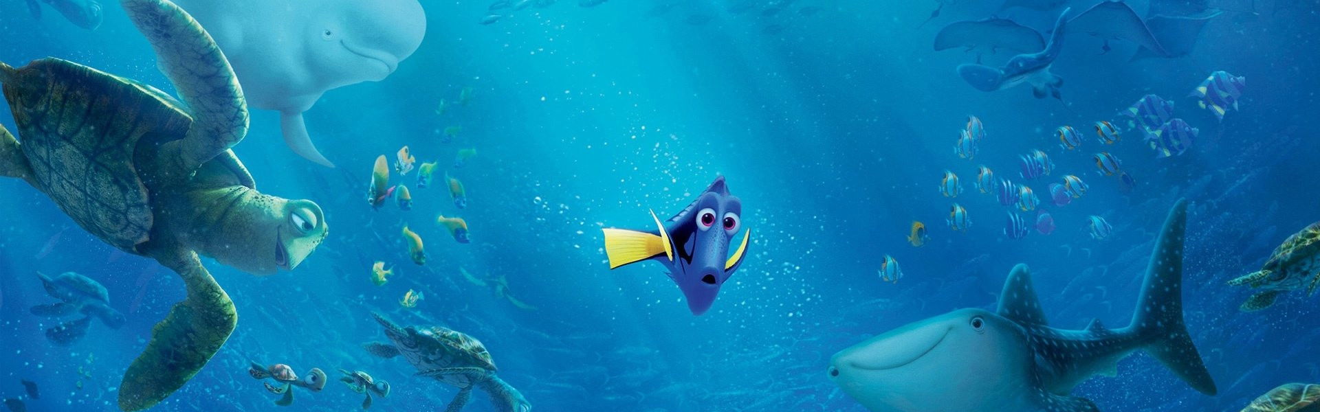 Finding Dory