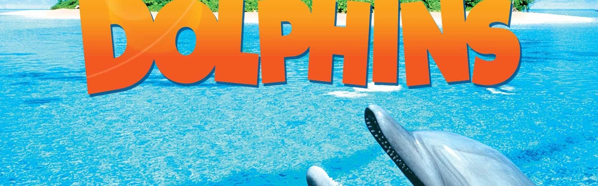 Dolphins