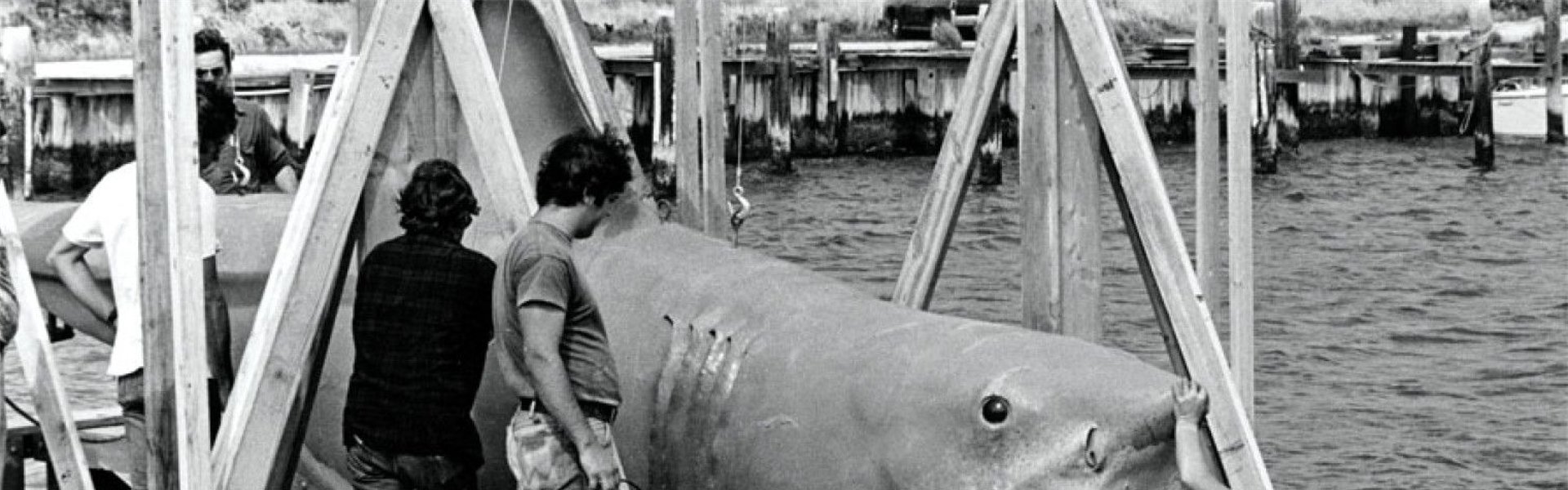 The Shark Is Still Working: The Impact & Legacy of "Jaws"