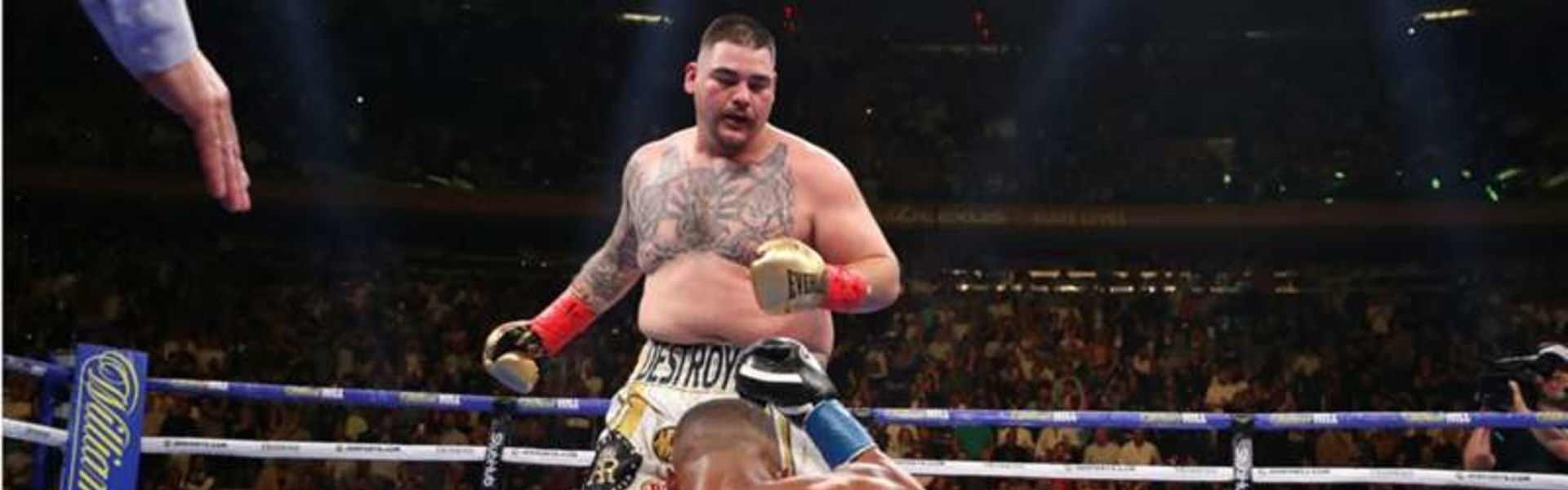 One Night: Joshua vs. Ruiz