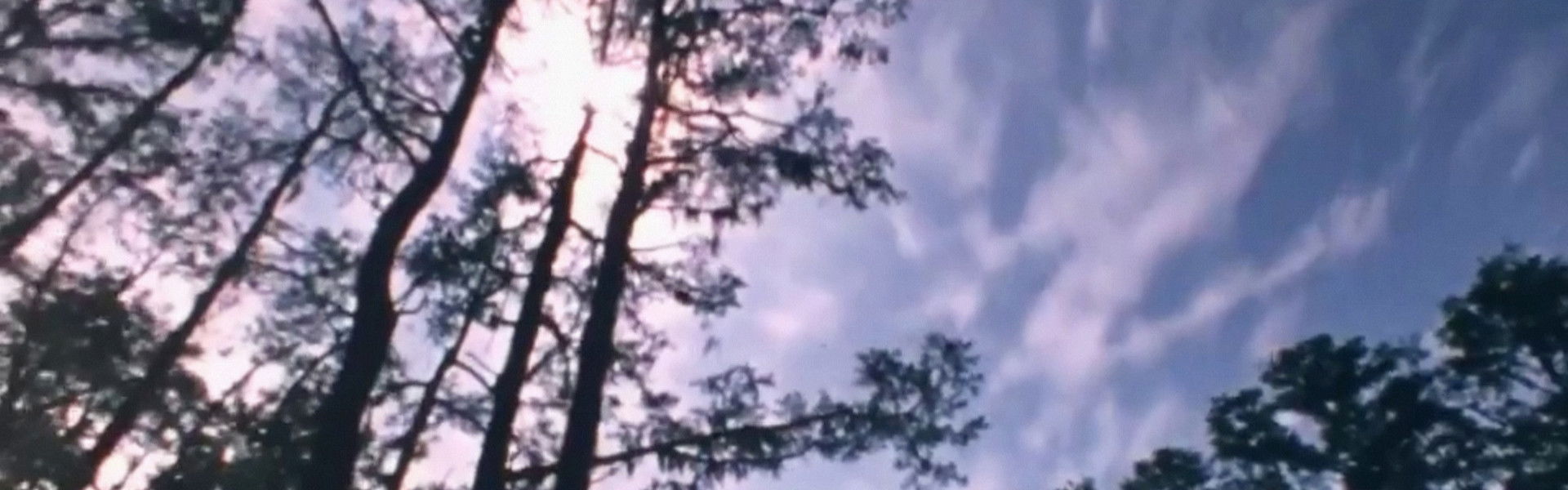 Wilderness: A Country in the Mind