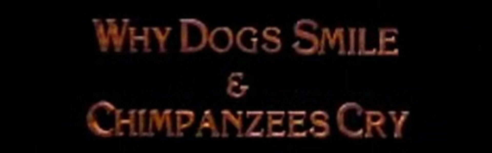 Why Dogs Smile and Chimpanzees Cry