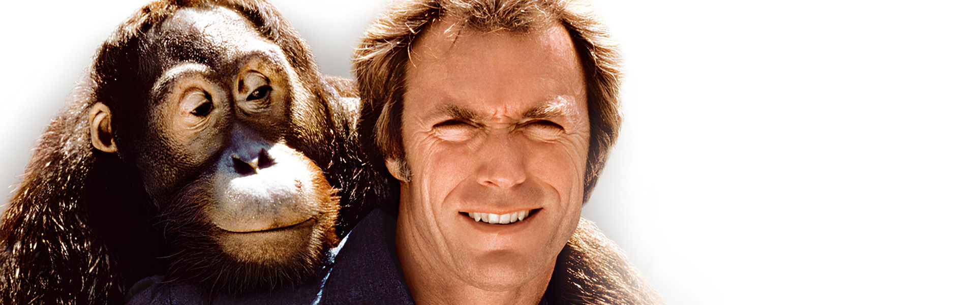 Any Which Way You Can