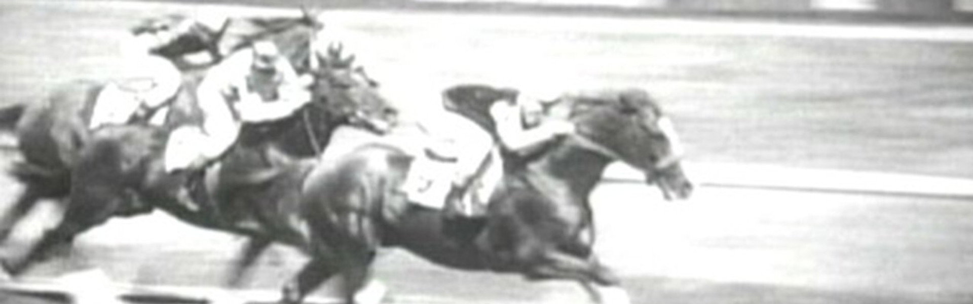 Hollywood Handicap