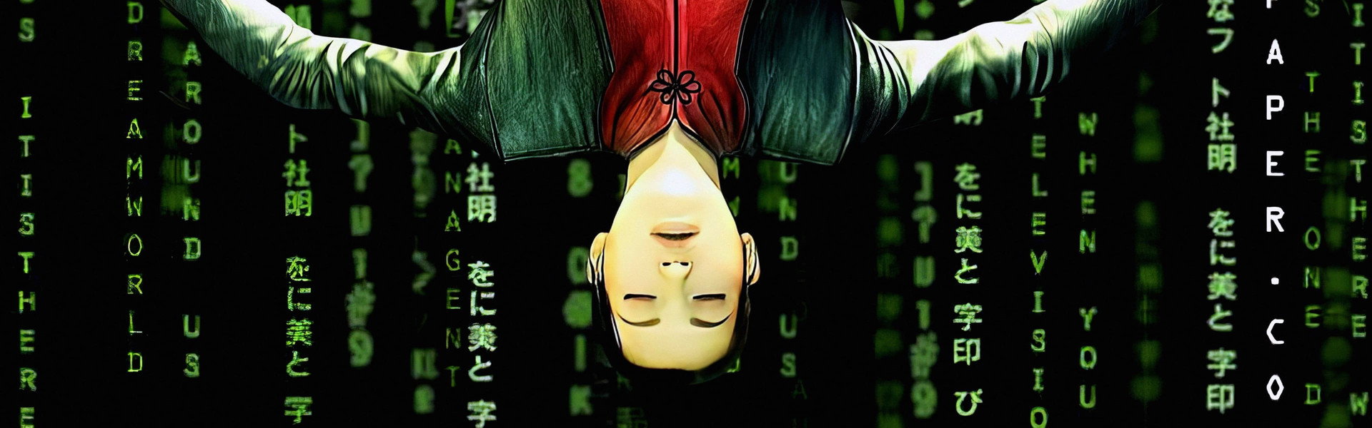 The Animatrix