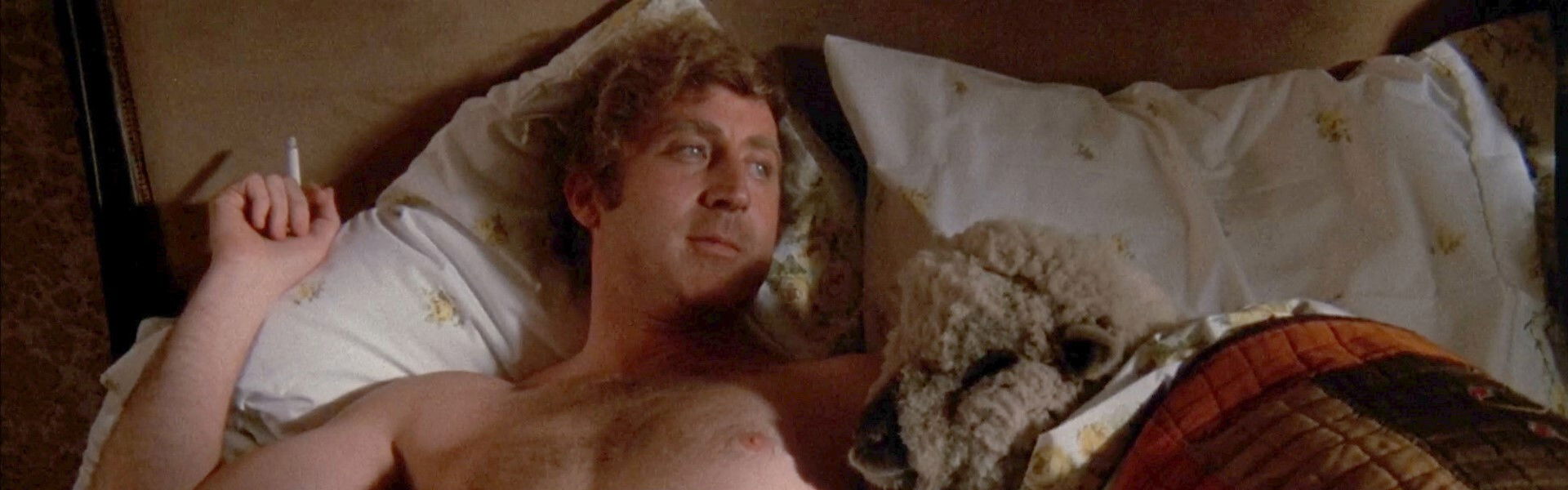 Everything You Always Wanted to Know About Sex *But Were Afraid to Ask