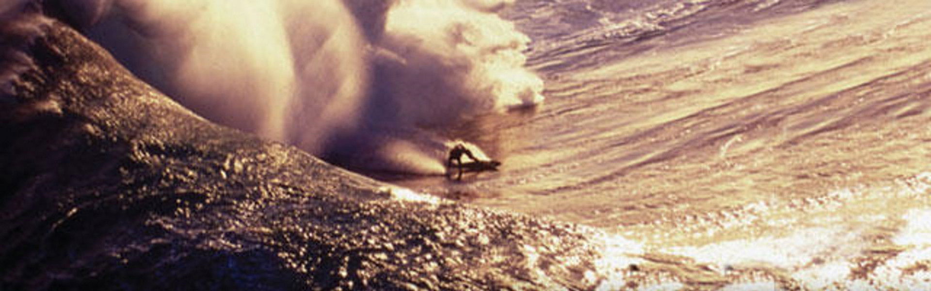 All Aboard the Crazy Train