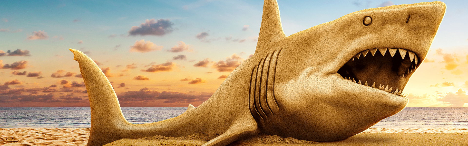 Shark Week
