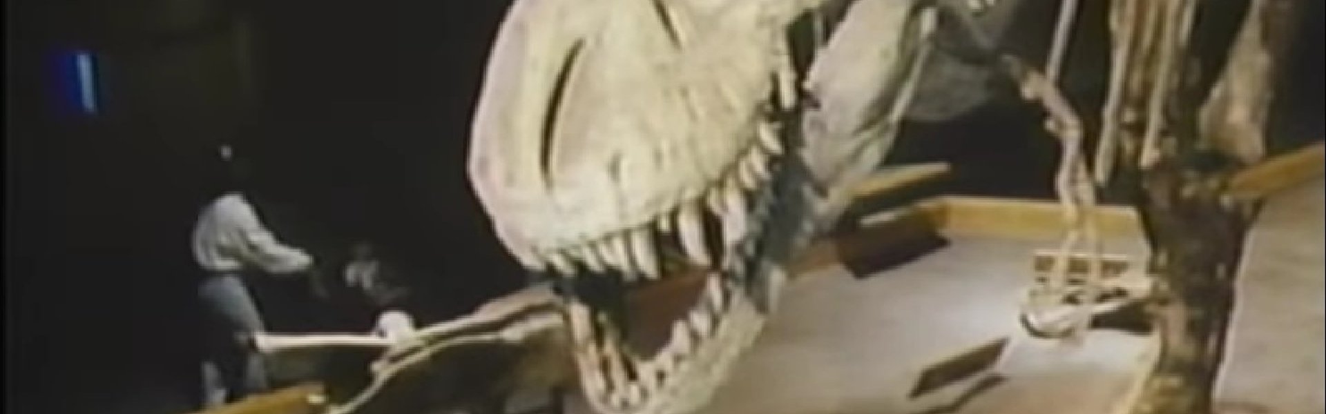 The Real Jurassic Park