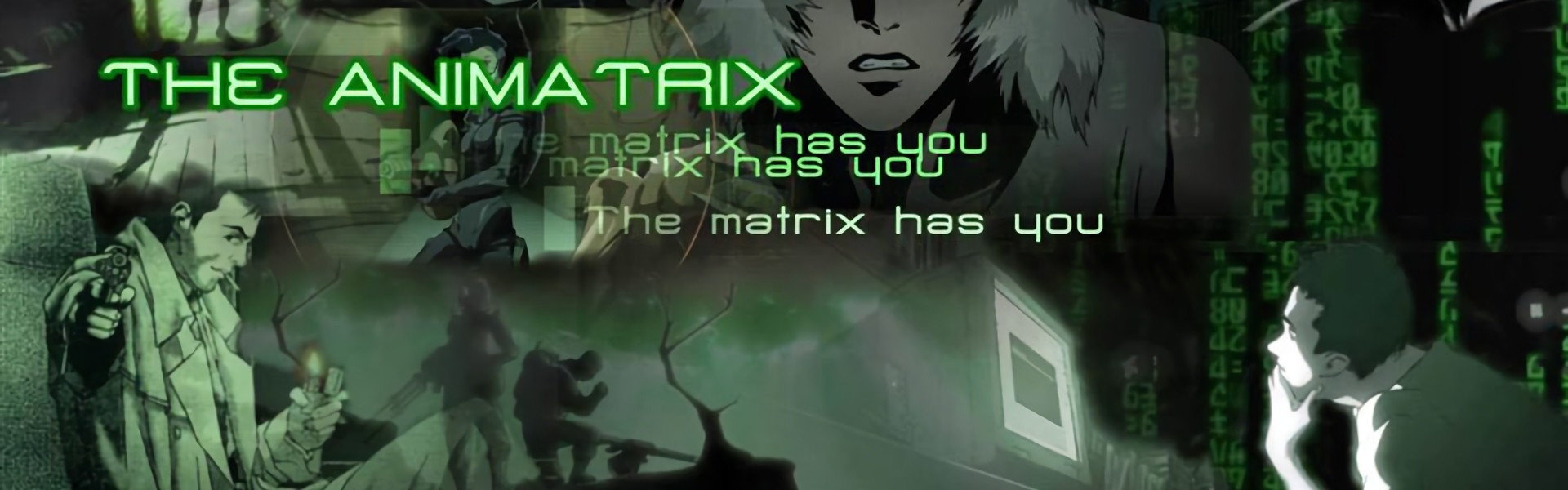 The Animatrix