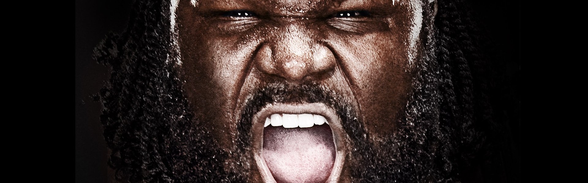 WWE Vengeance 2011