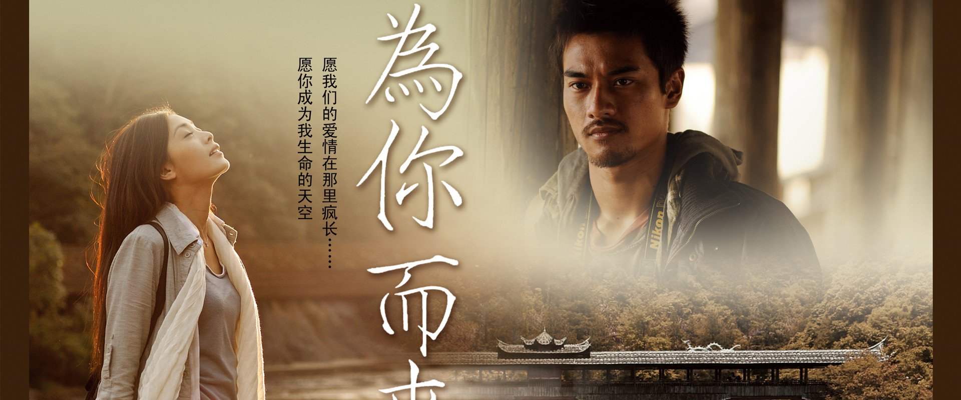为你而来海报