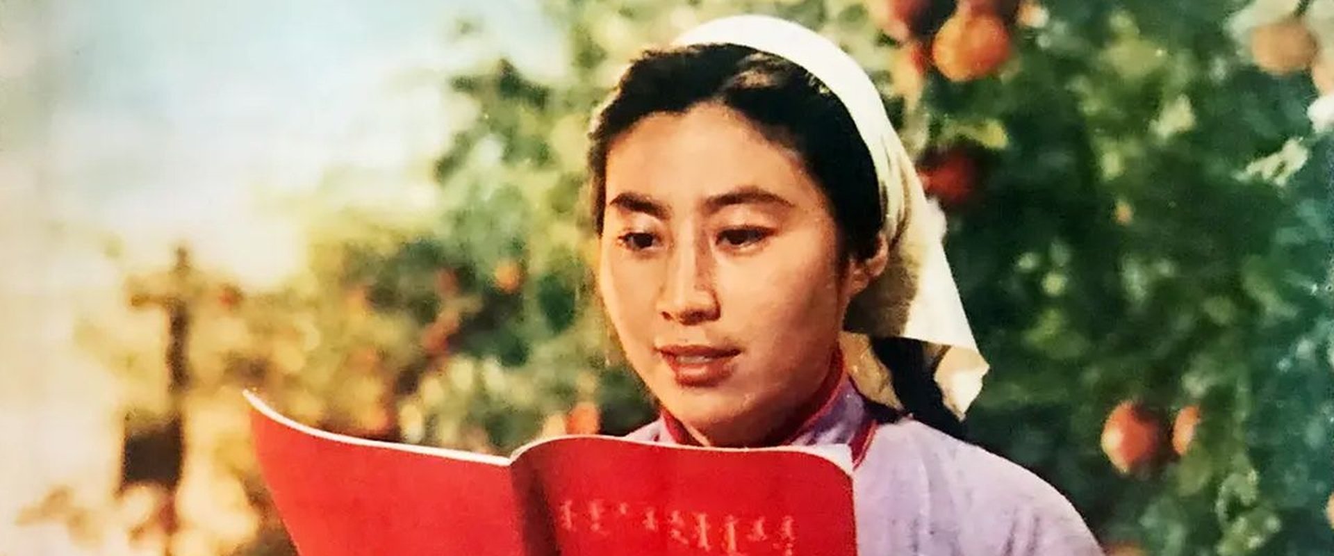 沙漠的春天海报