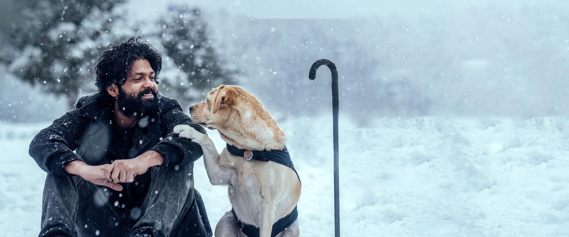 幸运之犬海报