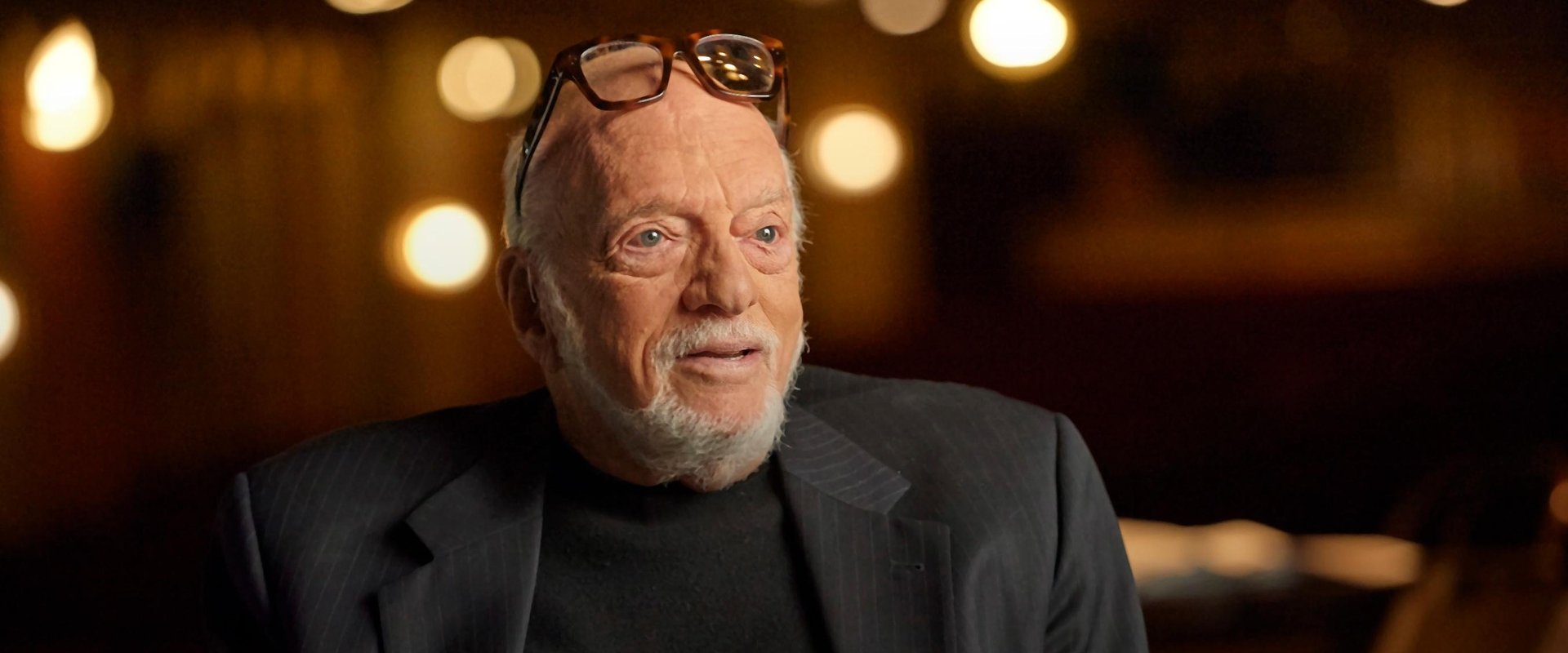 Harold Prince: The Director's Life海报