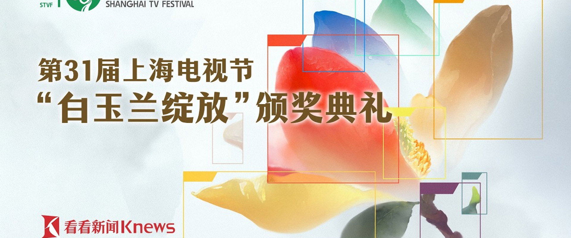 第31届上海电视节“白玉兰绽放”颁奖典礼海报