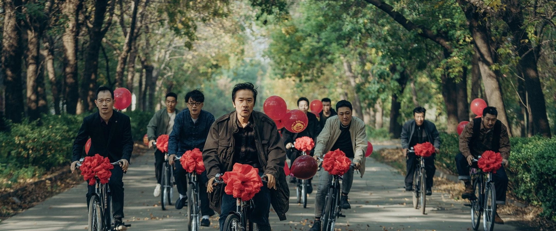向光花盛开海报