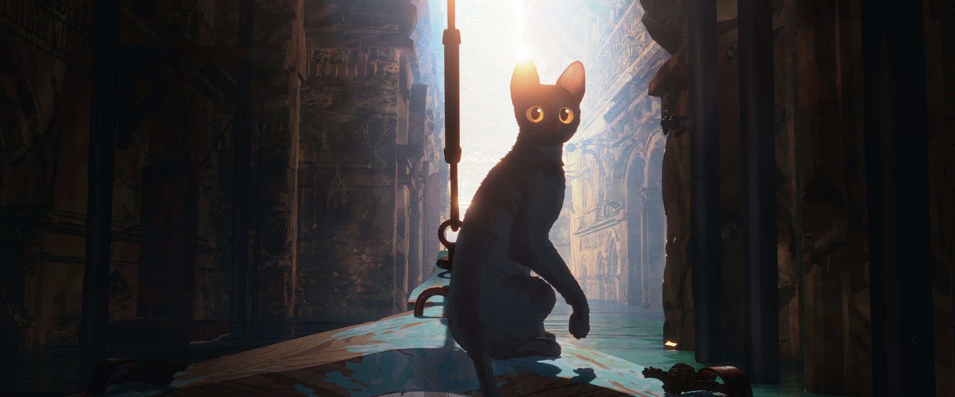 猫猫的奇幻漂流海报