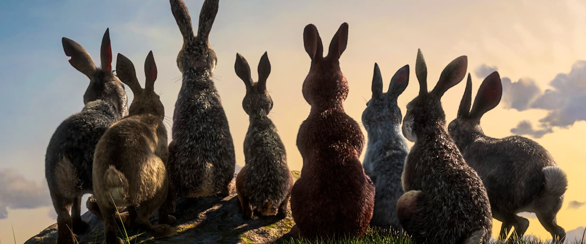 兔子共和国海报