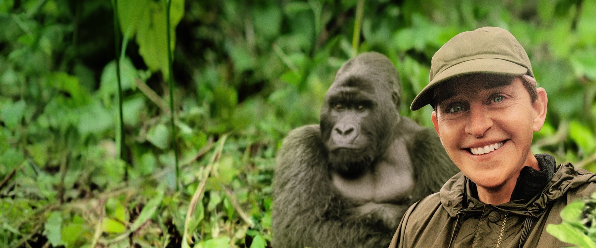 Saving the Gorillas: Ellen's Next Adventure海报