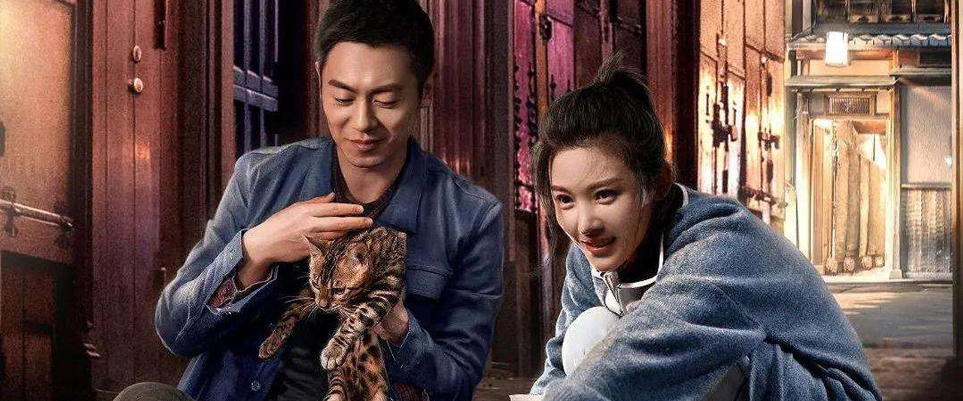 赖猫的狮子倒影海报