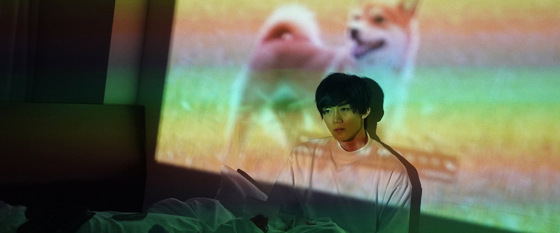 犬、回転して、逃げる海报