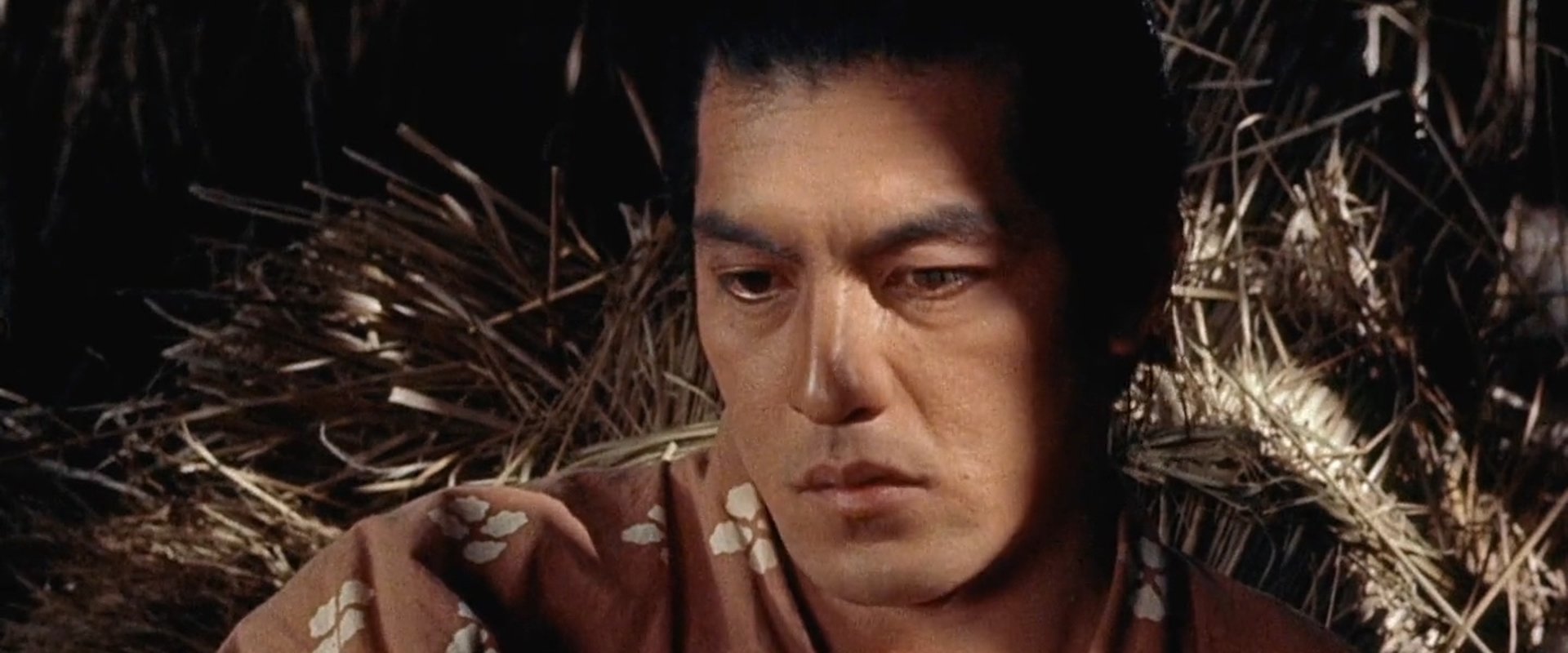 宫本武藏海报