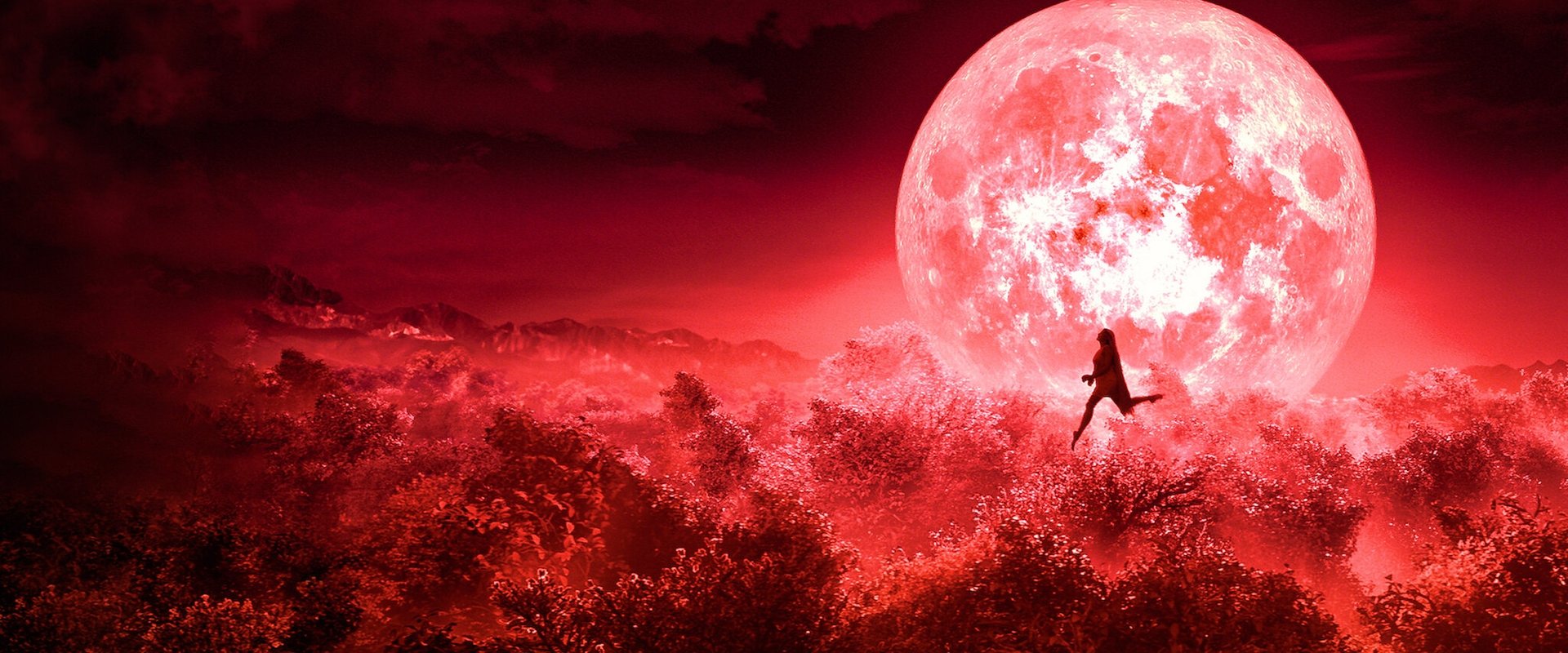 童养媳之谜海报