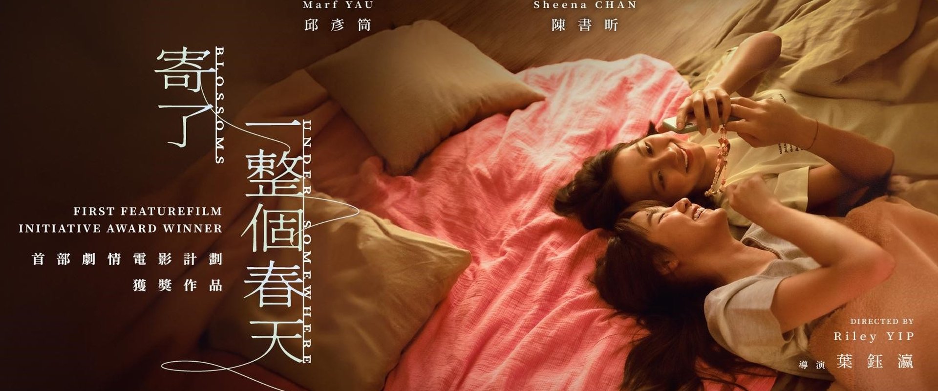 寄了一整个春天海报