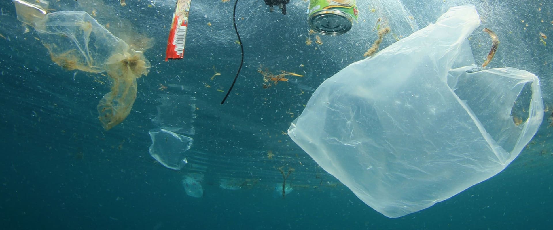 塑料海洋海报