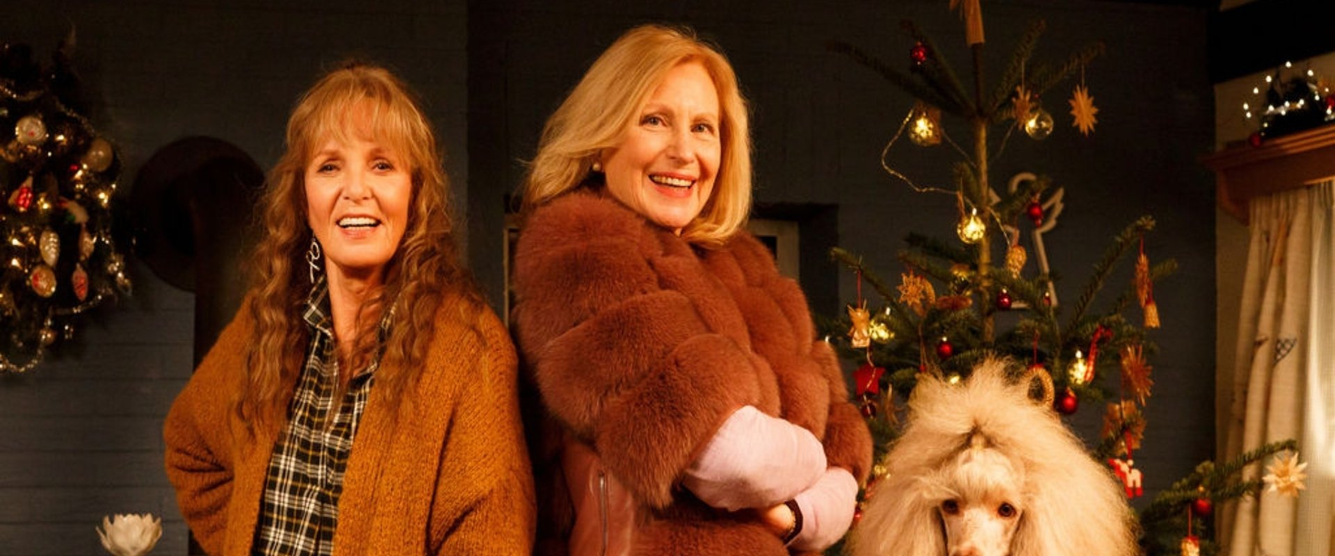 Mona & Marie - Eine etwas andere Weihnachtsgeschichte海报
