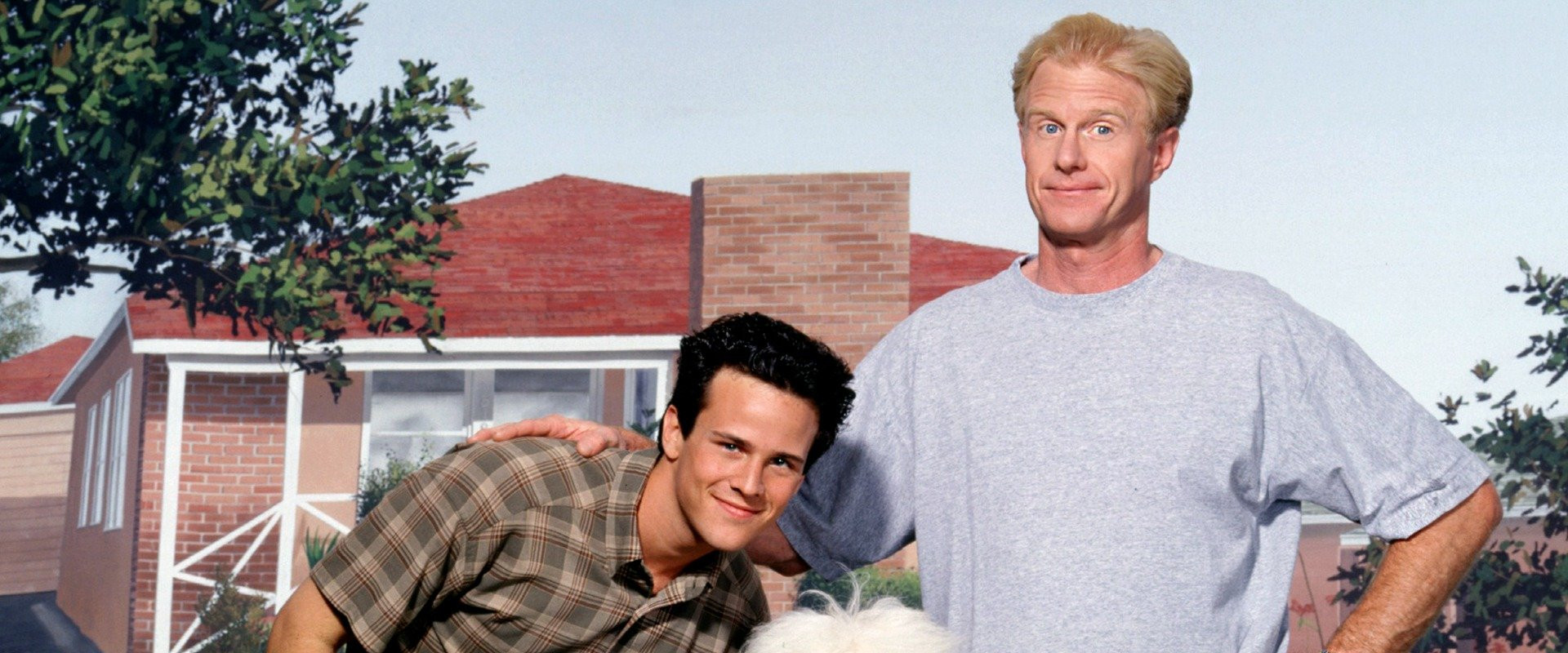 The Shaggy Dog backdrop