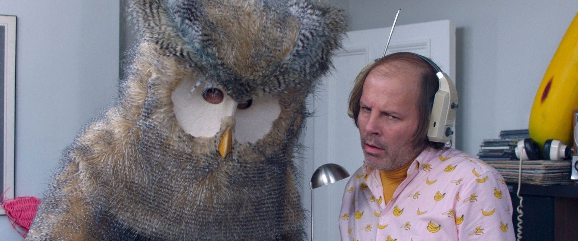 Owl You Need Is Love backdrop