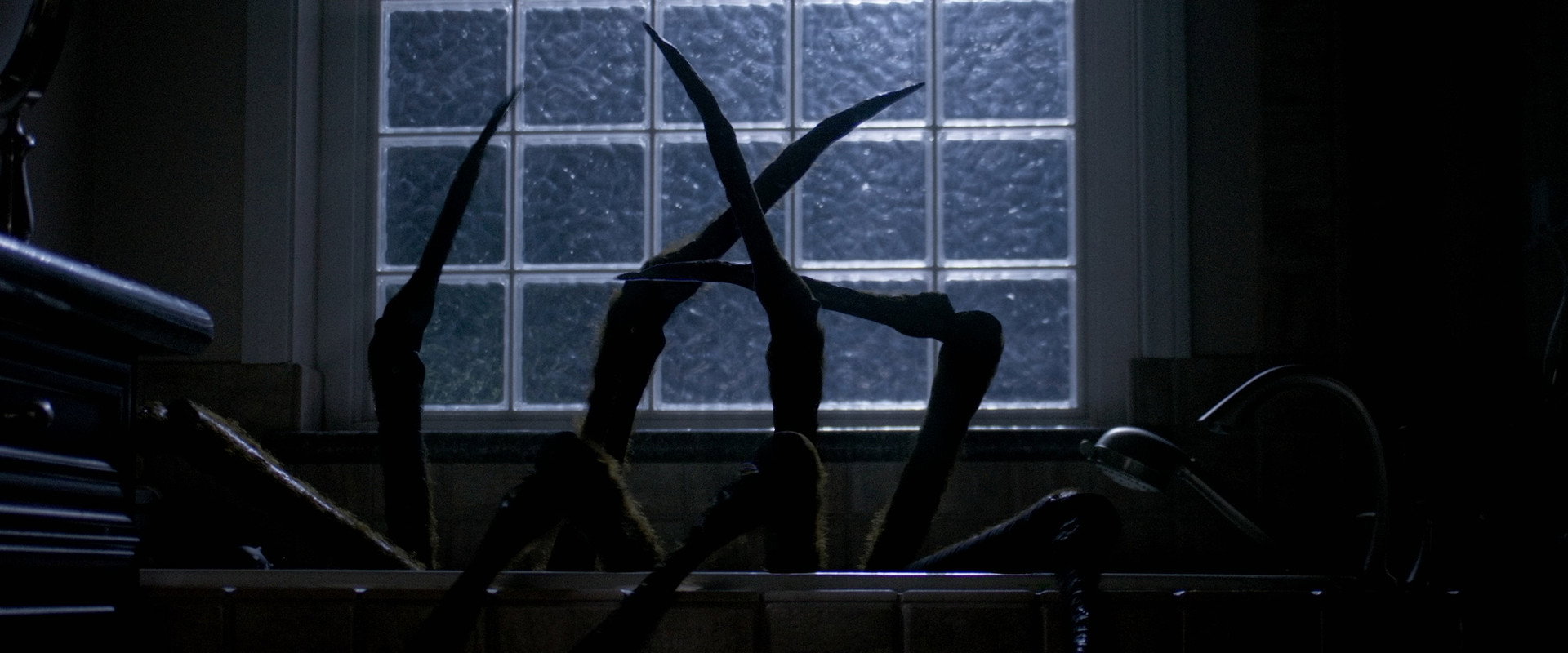 Night Spider backdrop